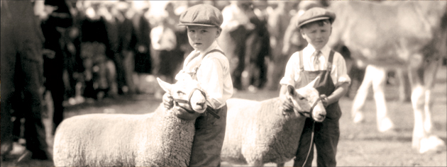 Twins Boyd and Lloyd Ayre exhibit twin sheep at an Oshawa, Ont., fair in 1930. [PHOTO: ARCHIVES OF ONTARIO—RG 16-274, ALBUM 2]