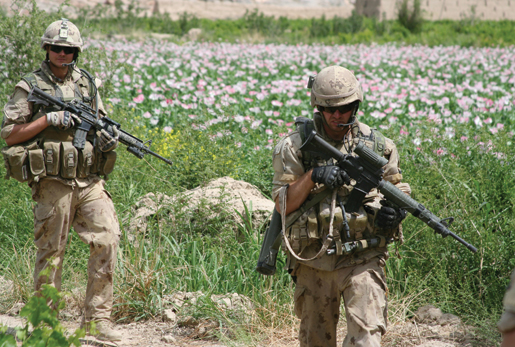 Bravo Company soldiers move through the ever-present poppy fields. [PHOTO: ADAM DAY]