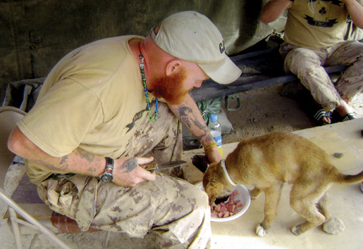 Doyle befriends a dog in Kandahar in 2008. [PHOTO: COURTESY NICOLE DOYLE]