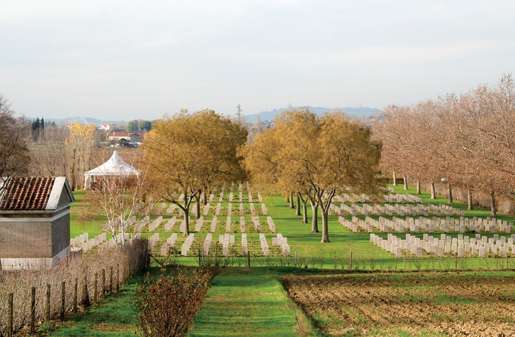 Coriano Ridge War Cemetery. [PHOTO: TOM MacGREGOR]