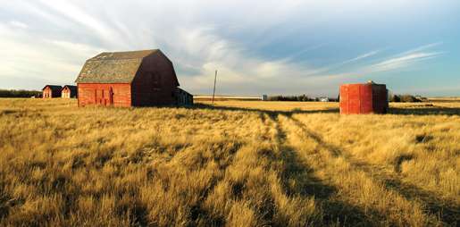 Golden prairie. [PHOTO: ©iStockphoto/fremme]