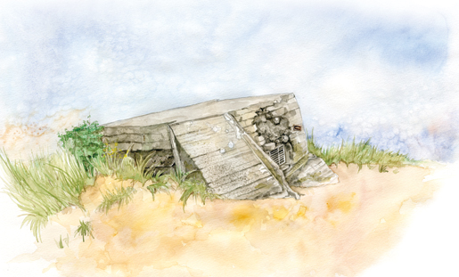 Windswept grass and the sands of time surround a crumbling German bunker on Juno Beach. [ILLUSTRATION: JENNIFER MORSE]