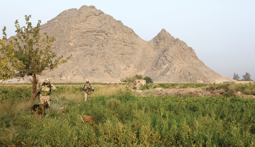 The patrol winds into Karakolay. The mountain in the background is Salavat Ghar. A Canadian sniper team is hidden among the rocks somewhere up there. Moments before this picture was taken, they fired their first round of the day which cracked over the patrol’s heads and killed an insurgent hiding a few hundred metres ahead. [PHOTO: ADAM DAY]