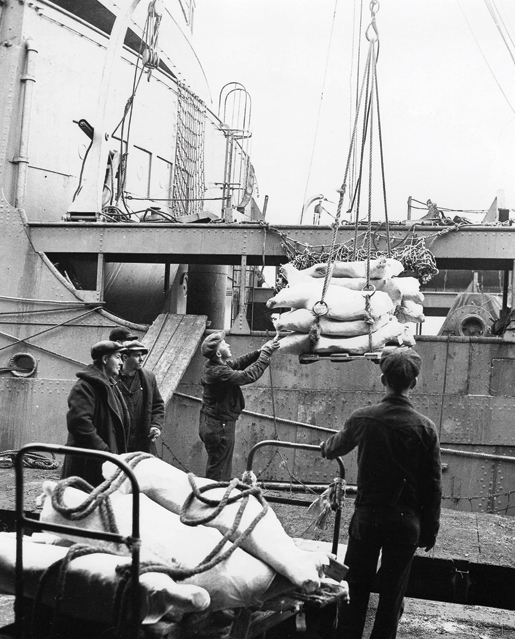 A pork shipment is loaded onto a merchant ship at Halifax. [PHOTO: R. WRIGHT, LIBRARY AND ARCHIVES CANADA—PA184171]