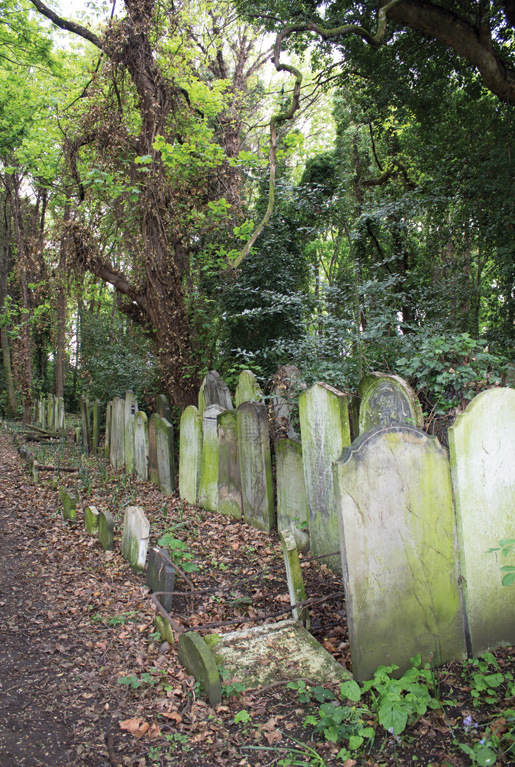 Large headstones fill a small part of Tower Hamlets Cemetery in London’s East End. [PHOTO: DAN BLACK]