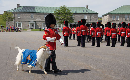 The Tibetan goat Baptiste X participates in the changing of the guard ceremony at the Citadelle in Quebec City. [PHOTO: TOM MacGREGOR]