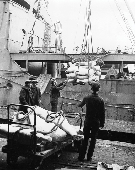Loading of cargo aboard an unidentified merchant ship. [PHOTO: LIBRARY AND ARCHIVES CANADA—PA184171]