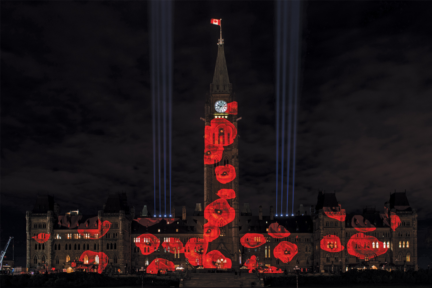 Virtual Poppies drop on hill