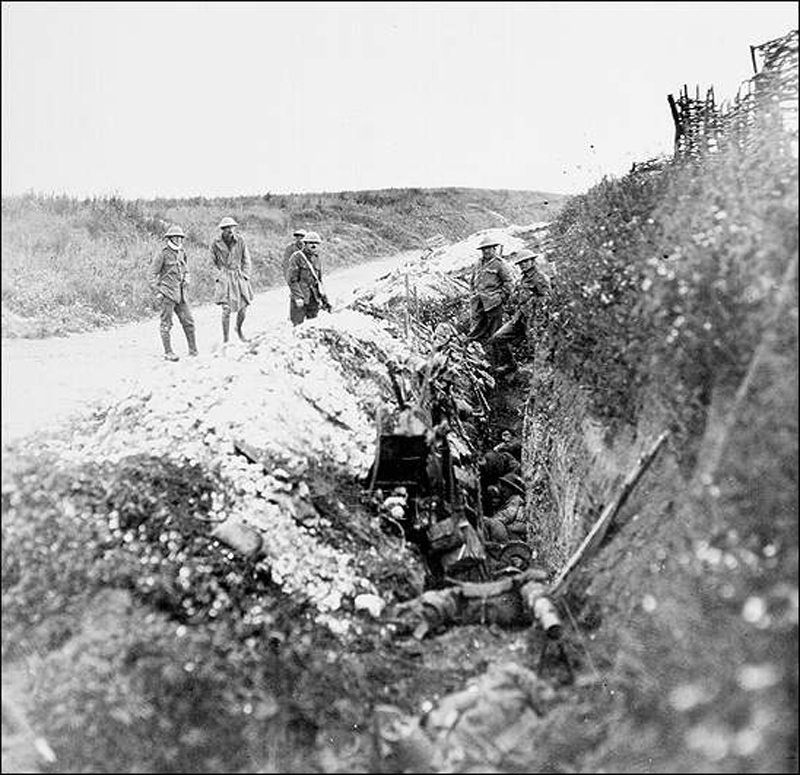 Was The Newfoundland Regiment Sacrificed At Beaumont Hamel Legion   Newfoundland Soldiers 1916 