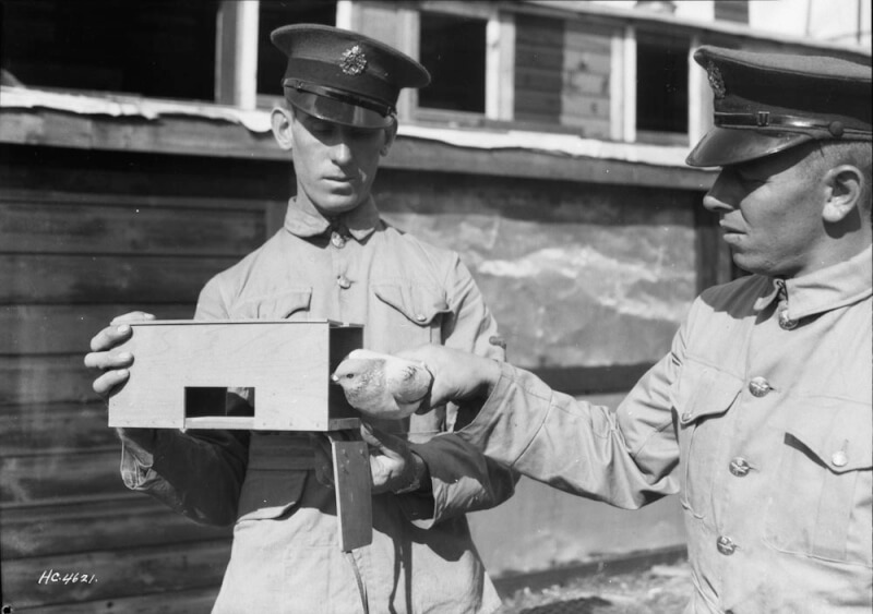 From the archives: Winged war messengers