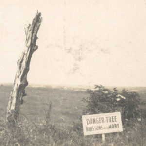 Danger Tree: A cherished symbol of sacrifice gets a new lease on life