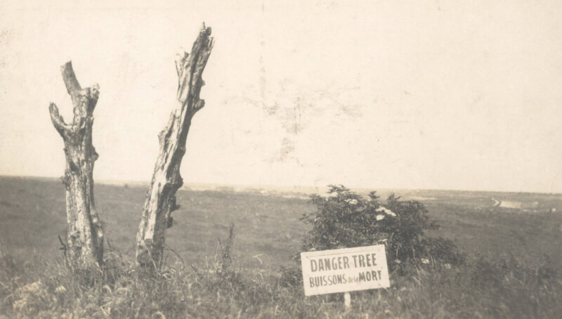 A photograph of the original Danger Tree at the Beaumont-Hamel battle site, taken circa 1920 by Lt.-Col. Thomas Nangle, chaplain of the Newfoundland Regiment. [Memorial University Archives]
